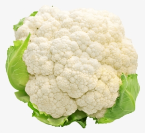 1 Head - Cauliflower - White Cauliflower #2892647