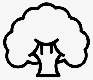 Broccoli Fibre Healthy Food Cauliflower Comments - Cauliflower #2892723