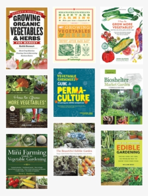 Growing Organic Vegetables And Herbs For Market: Site #2892855