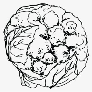 Cauliflower #2892990