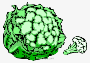 Head Of Cauliflower Royalty Free Vector Clip Art Illustration - Illustration #2893231