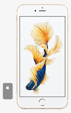 Iphone 6s Plus Back Frame - Refurbished Iphone 6pl 16 Gb Gold (rfbbiph6p16gld) #2893325