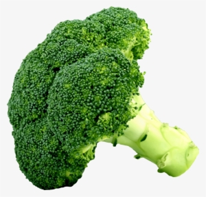 Broccoli Chinese Cabbage Vegetable Cauliflower - Brócoli Png #2893444