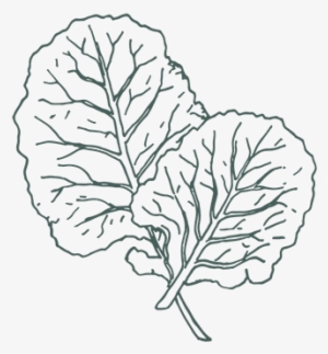 The Backyard Vegetable Garden - Icon #2893461