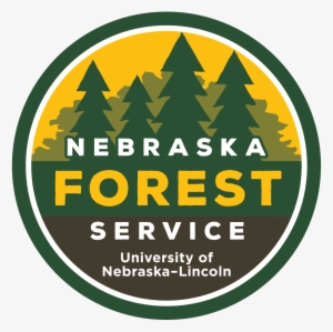 Nfs Logo/brand - Nebraska Forest Service #2893620