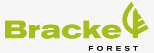 Bracke Forest Logo #2893645