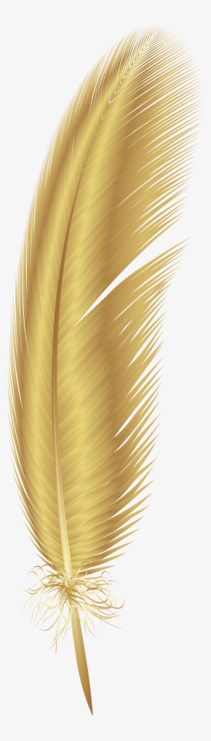 Portable Network Graphics #2894095