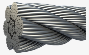 Barbed Wire #2894318 Barbed Wire #2894318