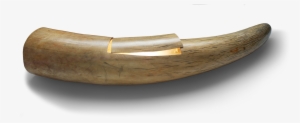 Tracking The Illegal Tusk Trade - Ivory Tusk #2894489