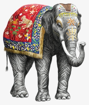 Elephants - Elefante De La India #2894573