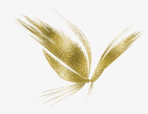 Zoom Diseño Y Fotografia - Mariposa Dorada Png #2894827