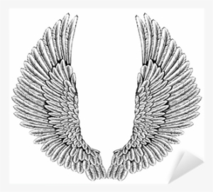 Angel Wings Png Transparent Angel Wings Png Image Free Download
