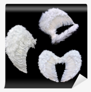 Angel Wings Png Transparent Angel Wings Png Image Free Download Page 2 Pngkey - valentines sparkling angel wings 2 roblox