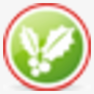 Christmas Mistletoe #2896229