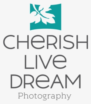 Cherish Live Dream Photography #2896517