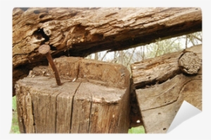 Old Wood Wormed Timber And Rusty Nail Close Up Wall - Wood #2896817