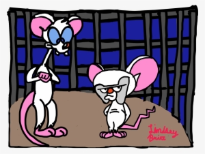Pinky And The Brain #2897231