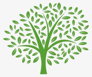 Tree-png - Comstock Inn #2898455