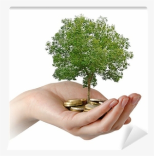 Palms With A Tree Growng From Pile Of Coins Wall Mural - Wage #2898736