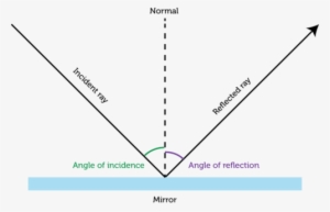 [figure 3] - Do The Laws Of Reflection Explain Ts #2899197