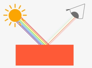 Reflected Light Enters Our Eye, Making It Look Like - Reflection Of Lighting Color #2899222