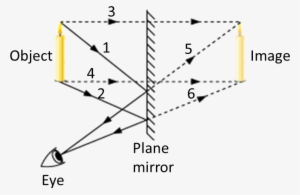 Result For Plane Mirror - Thumbs Up Thumbs Down #2899615