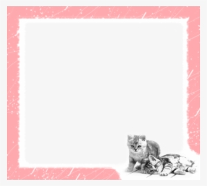 Gatos Rosados - Love My Friends #2899814