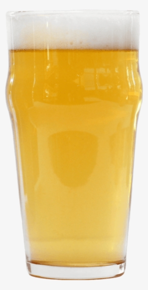 Oh My Gatos Golden Ale - Orange Soft Drink #2899898
