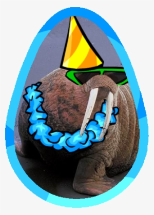 Shurow The Walrus Easter Egg - Chocolate Cake #290024