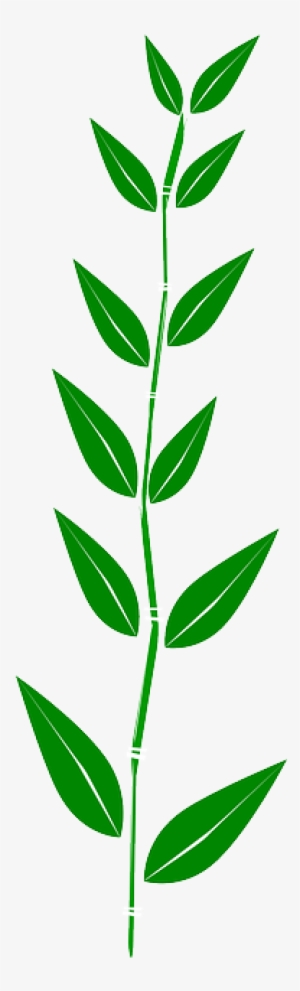 Bamboo, Leaves, Plant, Weed - Leaf Clipart Border #290235