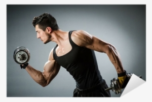 Muscular Ripped Bodybuilder With Dumbbells Sticker - Does Weight Training Increase Testosterone #290886