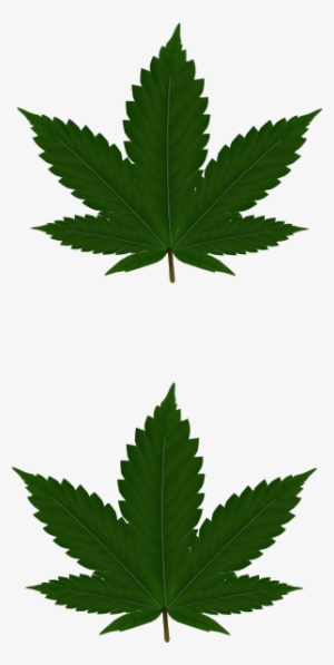 Cannabis Leaves For Pasties Clip Art - Happy Canada Day 2018 #290924