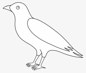 Crow Clipart Flying - Outline Picture Of Crow #291172