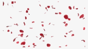 Rose Petals Transparent Image - Falling Rose Petals Png #291313
