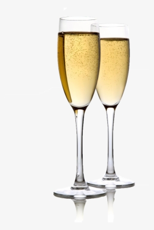 704641 Bolsa Porta-botellas Refrigerante Para El Vino #291851