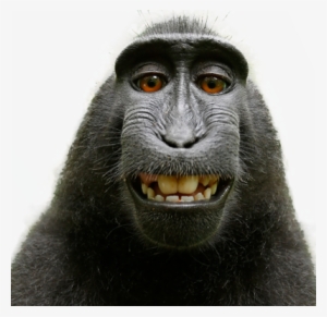 Romeo And Juliet Masks Templates #292219