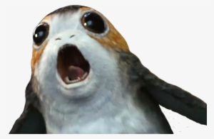 [ Img] - Steller Sea Lion #292238