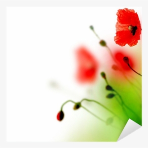 Poppy #292760 Poppy #292760