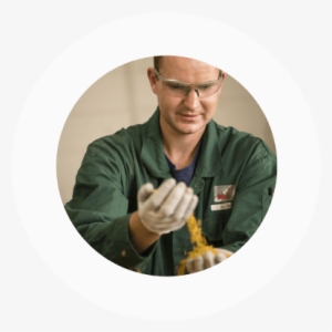 Community Programs - Holland Colours #293341