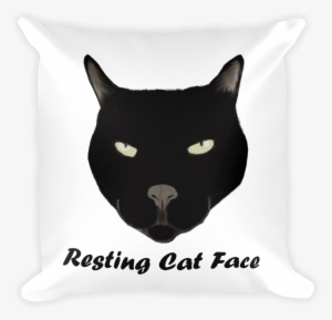 Resting Cat Face Pillow - Bar Moe #293424