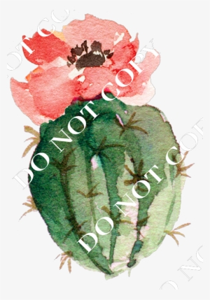 Cactus - Watercolor Cactus Png #293520