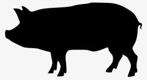 Download Pig Png Transparent Images Transparent Backgrounds - Pig Vector #293631