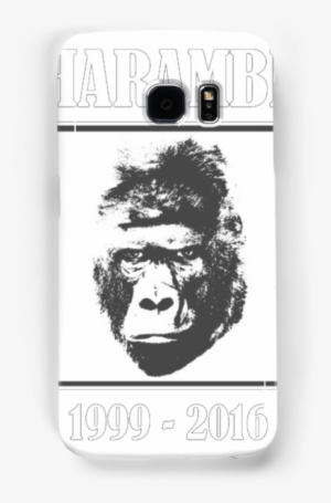 Harambe Rip Best Gorilla Ever - Gorilla #293953