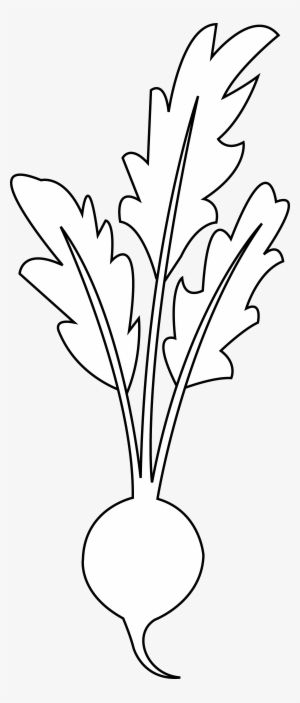 Clip Art Freeuse Line Of Floor Cloth Project Pinterest - Beet Black And White Clipart #294541