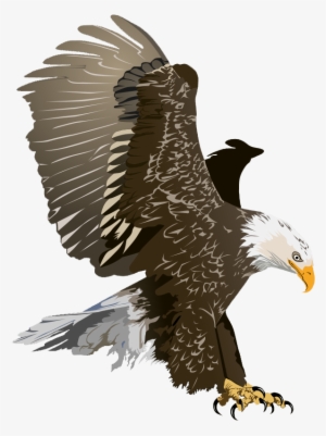 Realistic - Bald Eagle Free Clipart #294839 Realistic - Bald Eagle Free Clipart #294839
