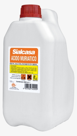 Ebook Berlin - Sial Acido Muriatico #295132