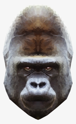 Emmasimoncic - Tumblr - Com - Low Poly Gorilla Illustration - Primate #295301