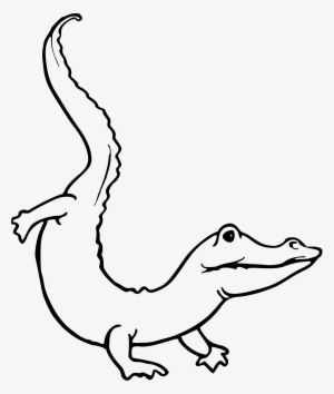 Free Stock Alligator Outline Drawing At Getdrawings - Caiman De Anteojos Para Dibujar #295441