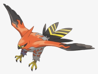 663talonflame - Pokemon 663 #295540 663talonflame - Pokemon 663 #295540