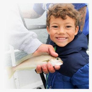 Home Captain Inc. #295747